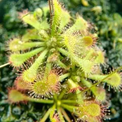 gigi【プロフ必読※最後が特に重要】様 リクエスト 3点 まとめ商品