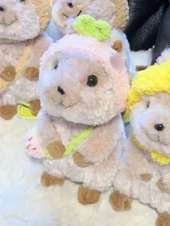 sunlemon クオッカ ぬいぐるみ着せ替え服DIYセット サンレモン - メルカリ