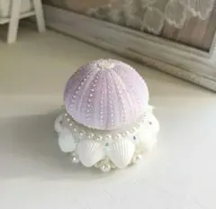 ウニランプ［№354］