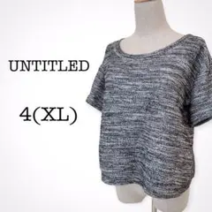 大きめサイズ☆アンタイトル 半袖 トップス 短め丈 ワールド レディース XL