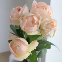 まゆ様　専用ページ