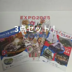 ハイビスカス様 リクエスト 2点 まとめ商品