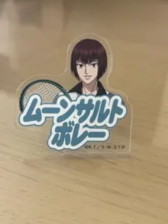 テニプリ　氷帝　向日岳人　ムーンサルトボレー アクリルリング