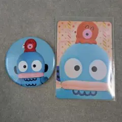 サンリオピューロランド ライブキャラクターズ ハンギョドン トレカ　缶バッジ