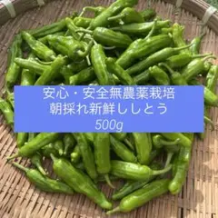 2026年最新】ししとう、の人気アイテム - メルカリ