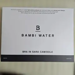 バンビウォーター　BAMBIWATER ブラトップ　LL　ピンクベージュのサムネイル