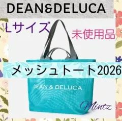 週末限定値下 USA DATUM デイタム タウントート 2WAYバッグ レッド