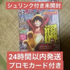ONE PIECE ワンピースマガジン 20号 プロモ、シュリンク付き