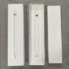 Apple Pencil (第1世代) ホワイト