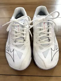 MIZUNO(ミズノ) バトミントンシューズ 24cm ウエーブクローEL2のサムネイル