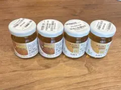 カルピジャーニ FRUTTANEVE シャーベット用安定剤 - メルカリ