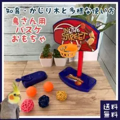 鳥 バスケ 知育 おもちゃ(■バードトイ■放鳥■オカメ・ウロコインコなどに)のサムネイル