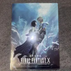 FF10 ファイナルファンタジー10 25th B2 ポスター ティーダ ユウナ