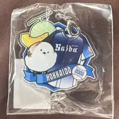 西武ライオンズ 繋がるアクリルチャーム 福岡 ビジター応援デー - メルカリ
