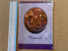 ディズニープリンセス塔の上のラプンツェルＢ５サイズクリアファイル