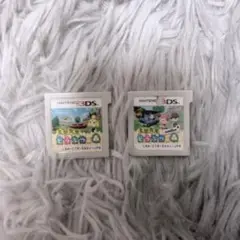 どうぶつの森 2セット