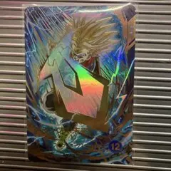 SDV8-013パラレル　トランクス:未来