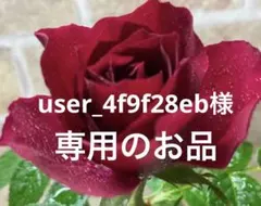 ミニバラ♡テディベア♡3.5号♡ポットごと宅急便コンパクト - メルカリ