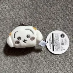 ちいかわ　ミニがまぐち〜リボン〜　うさぎ