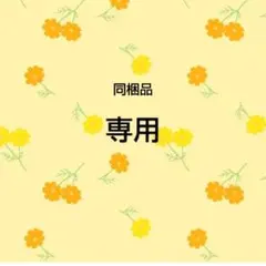 専用　同梱品　24個