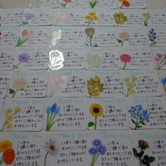 Item thumbnail for item da08f0c7-6616-4861-a8a6-d0c056d3f57a