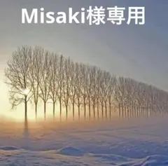 【Misaki様専用】ハンドメイド 12/8