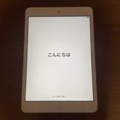 iPad mini 第2世代16GB Wi-Fi 初期化済 即使用可