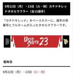 カチドキレッドタオルマフラー　有原航平17