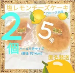 ⑦美味しい ⭐️塩レモンチーズケーキ ５号２個 ●アウトレット ●工場直売のサムネイル