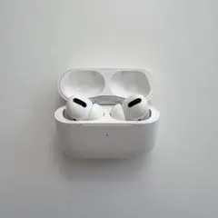 【訳あり】AirPods Pro 第1世代（A2190）ケース・本体セット