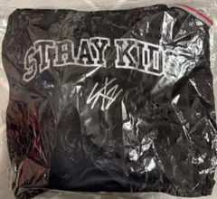 スキズ アプグレ特典