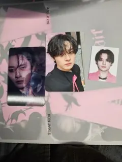 stray kids スキズ do it リノ it ver. トレカ