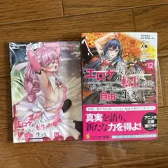 マジカル★エクスプローラー エロゲの友人キャラに転生したけど、ゲーム知識使って…