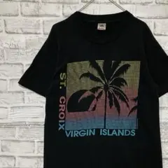 USA製90sヴィンテージTシャツ！シングルステッチ　ブラック半袖古着M25