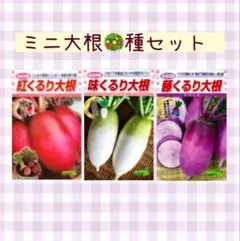 ちー様 リクエスト 5点 まとめ商品