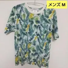 Item thumbnail for item 6cfeea3c-77b6-4a27-97b1-7e365966951a