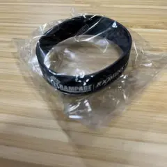 THERAMPAGE ラバーバンド 109MENS コラボ