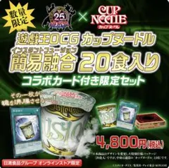 遊戯王カード 遊戯王OCG デュエルモンスターズ