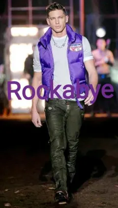 名作DSQUARED2ディースクエアードワッペングースリアルダウンベスト国内正規