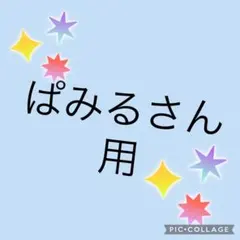 ぱみるさん用出品枠