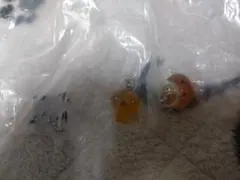 サンエックス めじるしアクセサリー