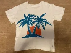 Item thumbnail for item 6932c455-0798-4d3e-9872-ffc9922975db