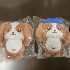 2025年最新】デコピン ぬいぐるみの人気アイテム - メルカリ