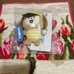 BT21 CHIMMY 釜山限定 ぬいぐるみマスコット - メルカリ