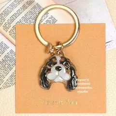 チワワ 耳垂れ ankoわんこシリーズ フック付きチャーム マスクチャーム