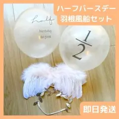 【匿名配送】ニューボーンフォト　天使の羽セット　ハーフバースデー 風船　風船のサムネイル