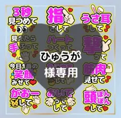 ひゅうが様専用