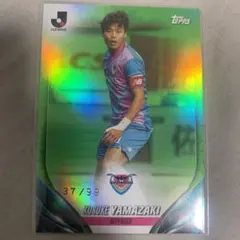 Item thumbnail for item 877f0979-fbb4-444e-84b7-9b5e211f0b57