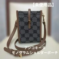 【未使用品】アンコキーヌ ショルダーポーチ グレー ブラウンのサムネイル