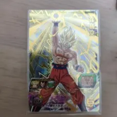 UGM8-015　孫悟空